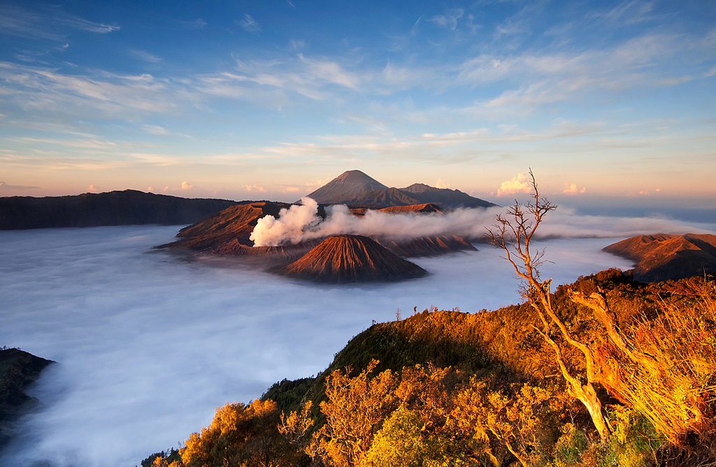 BROMOECOTOURISM,TOUR PACKAGE BROMO IJEN FROM SURABAYA/MALANG,PACKAGE TOUR BROMO IJEN BLUE FIRE,TOUR BROMO,BROMO TOUR,BROMO SUNRISE TOUR 1D,BROMO PANORAMA TOUR 1D,BROMO TOUR 2D1N,BROMO IJEN TOUR 2D1N,BROMO IJEN TOUR 3D2N,IJEN BROMO TOUR 3D2N,SEMERU TREKKING TOUR 2D1N,SEMERU TREKKING TOUR 3D2N,TUMPAK SEWU BROMO TOUR 3D2N,SEMERU BROMO IJEN TOUR 5D4N,YOGJAKARTA BROMO IJEN BALI TOUR 5D4N,BROMO IJEN SUKAMADE TOUR 3D2N,BROMO IJEN SUKAMADE TOUR 4D3N,PUTRAJAYA TOUR MALANG BYBROMOECOTOURISM