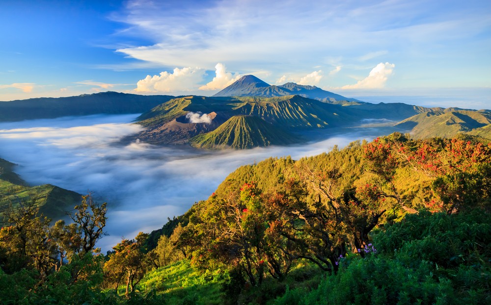 East Java travel tips, top attractions in East Java, cultural experiences in East Java, natural wonders of East Java