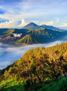 East Java travel tips, top attractions in East Java, cultural experiences in East Java, natural wonders of East Java