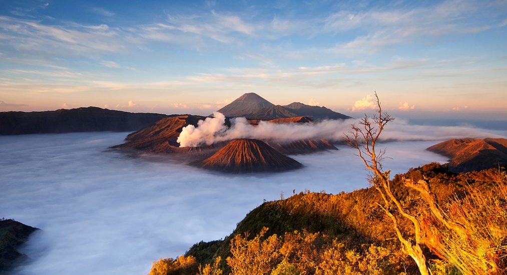 Bromo Ijen itinerary, Surabaya travel packages, Malang tour deals, mount Bromo sunrise, Ijen crater visit, East Java tours