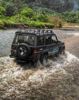 BROMOECOTOURISM,TOUR PACKAGE BROMO IJEN FROM SURABAYA/MALANG,PACKAGE TOUR BROMO IJEN BLUE FIRE,TOUR BROMO,BROMO TOUR,BROMO SUNRISE TOUR 1D,BROMO PANORAMA TOUR 1D,BROMO TOUR 2D1N,BROMO IJEN TOUR 2D1N,BROMO IJEN TOUR 3D2N,IJEN BROMO TOUR 3D2N,SEMERU TREKKING TOUR 2D1N,SEMERU TREKKING TOUR 3D2N,TUMPAK SEWU BROMO TOUR 3D2N,SEMERU BROMO IJEN TOUR 5D4N,YOGJAKARTA BROMO IJEN BALI TOUR 5D4N,BROMO IJEN SUKAMADE TOUR 3D2N,BROMO IJEN SUKAMADE TOUR 4D3N,PUTRAJAYA TOUR MALANG BYBROMOECOTOURISM